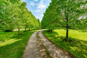 Buying a multi-generational home in Puslinch