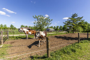 Puslinch real estate market update - June 2026