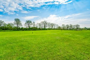 selling vacant land in puslinch