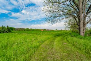 selling vacant land in Puslinch