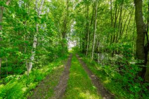selling vacant land in puslinch