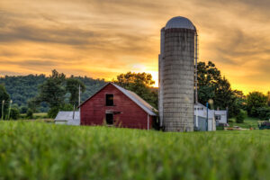 Selling your Puslinch farm