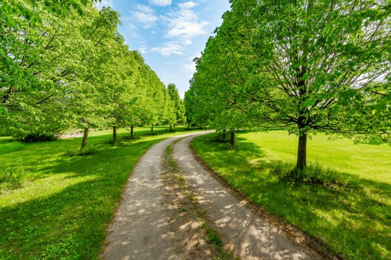 Wells, Septic and Internet: what rural home buyers should know